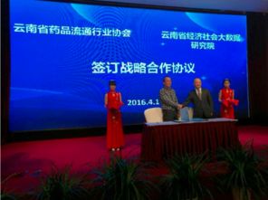 云南省經濟社會大數據研究院 以數據驅動，賦能社會經濟咨詢服務新篇章